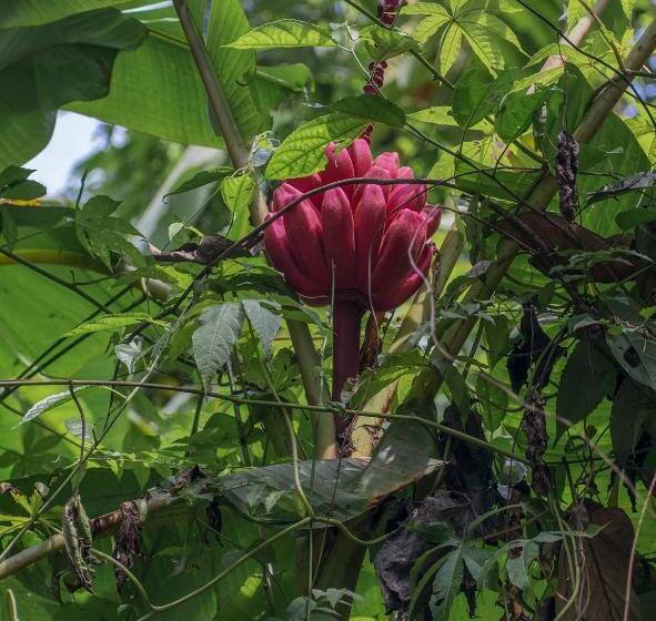 酒店 Kokoro Mineral Hot Springs