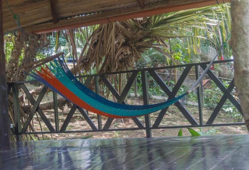 酒店 Kokoro Mineral Hot Springs