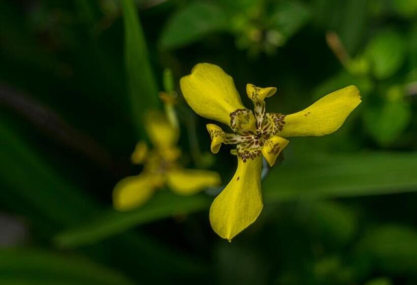 酒店 Kokoro Mineral Hot Springs