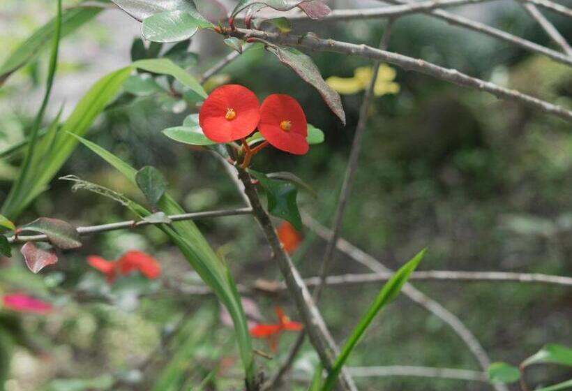 酒店 Kokoro Mineral Hot Springs