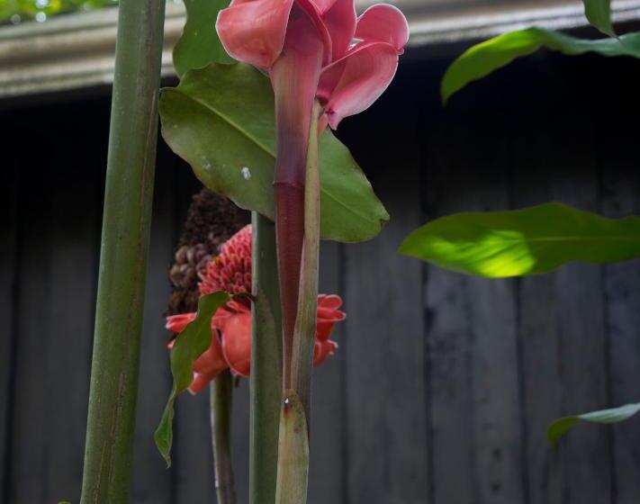 酒店 Kokoro Mineral Hot Springs