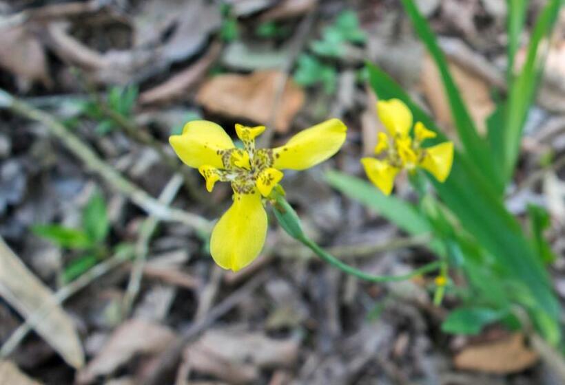 酒店 Kokoro Mineral Hot Springs