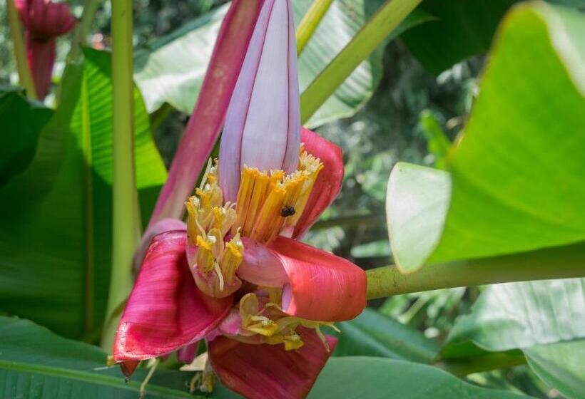 酒店 Kokoro Mineral Hot Springs