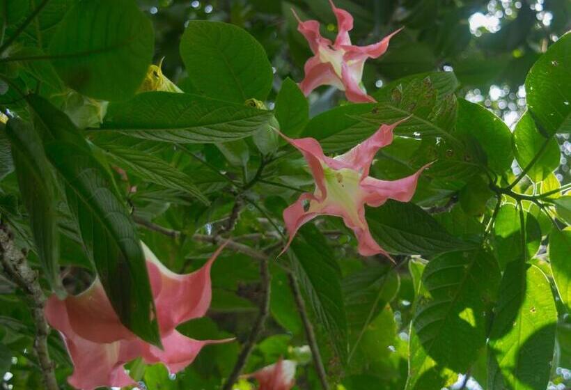 酒店 Kokoro Mineral Hot Springs