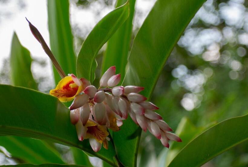 酒店 Kokoro Mineral Hot Springs
