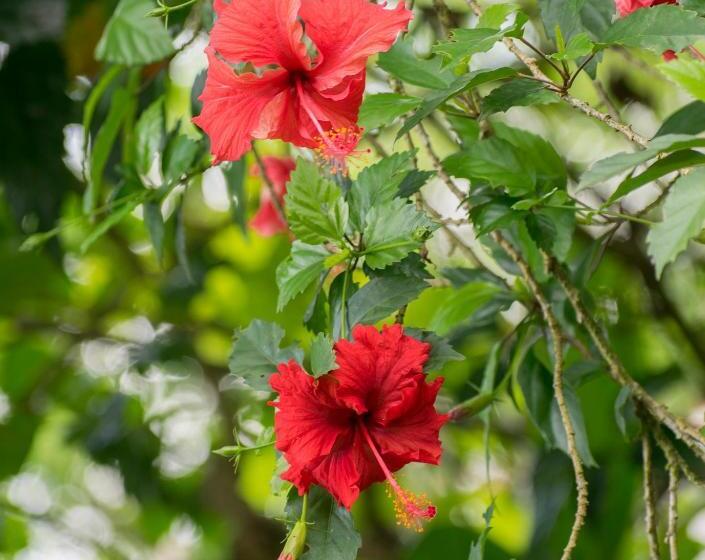 酒店 Kokoro Mineral Hot Springs