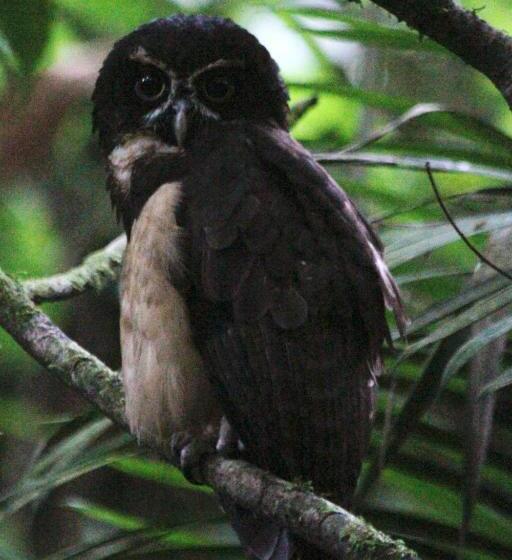 酒店 Kokoro Mineral Hot Springs