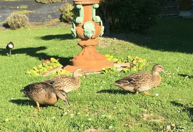酒店 Lake Wanaka Lodge