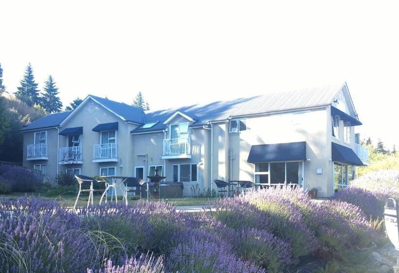 酒店 Lake Wanaka Lodge