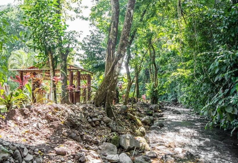 فندق Lavas Del Arenal