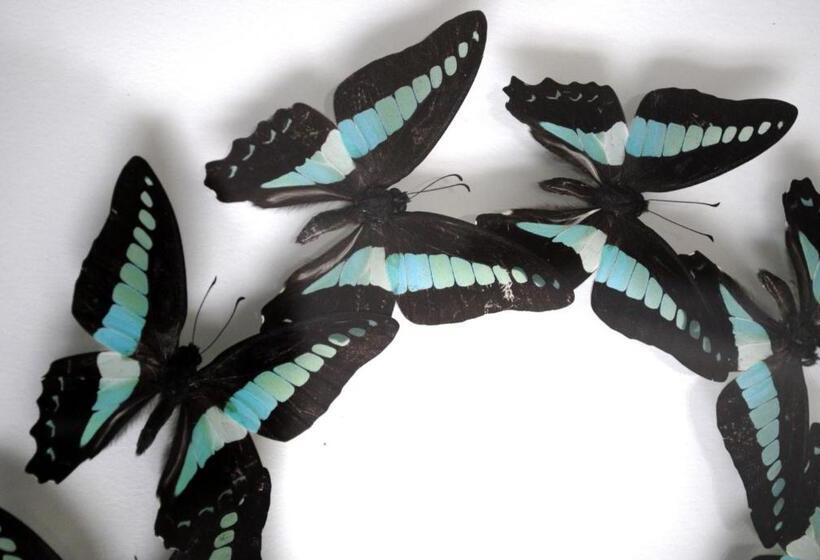 בית מלון כפרי Le Clos Saint Martin Hôtel & Spa