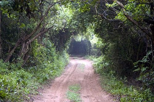 فندق Makakatana Bay Lodge