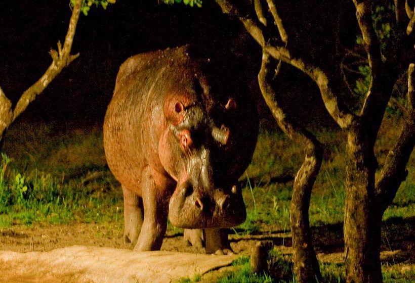 فندق Makakatana Bay Lodge
