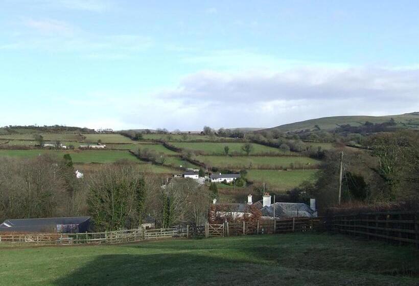 בית מלון כפרי The Mary Tavy Inn