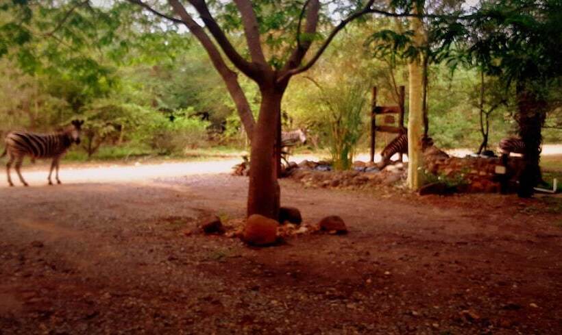 ホテル Phumula Kruger Lodge