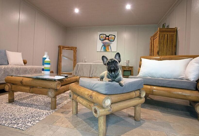 ホテル Plaza Yara