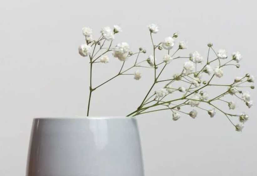 Rafael Hotel And Mansion Bangkok   Sha Extra Plus Certified