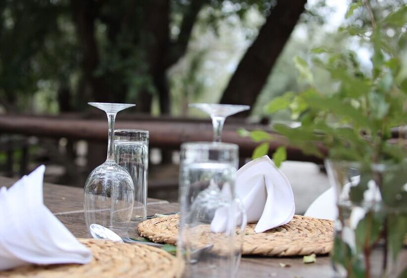 호텔 Karongwe Portfolio Shiduli Private Game Lodge