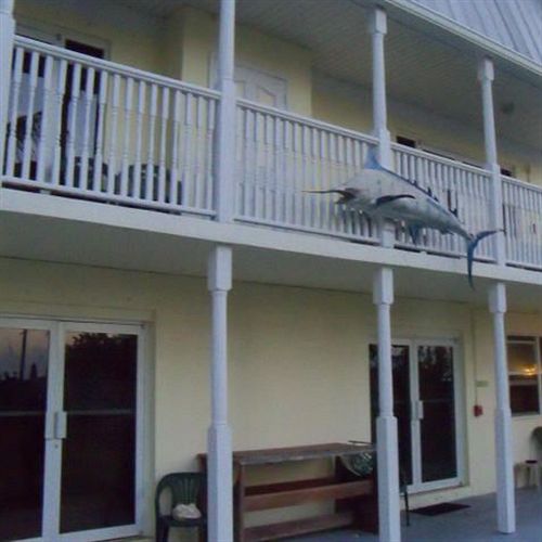 فندق Tarpon Flats Inn & Marina