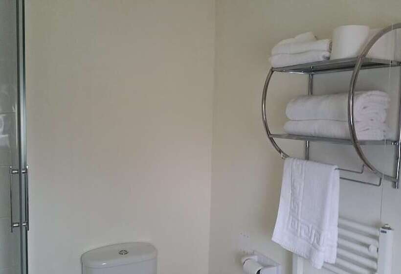 בית מלון כפרי The Begelly Arms