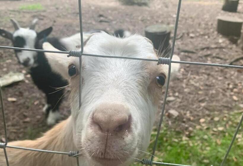 ホテル The Bickford Arms Inn