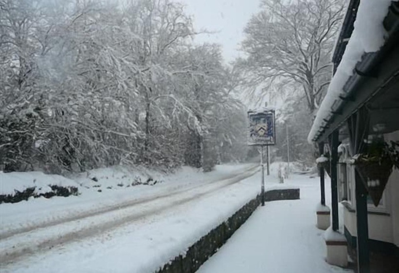 فندق The Bickford Arms Inn