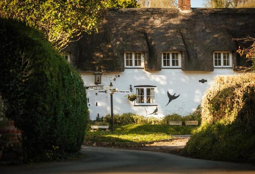 בית מלון כפרי Brace Of Pheasants