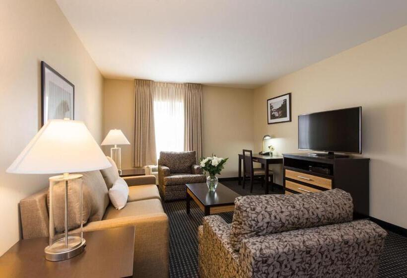 酒店 The Brunswick