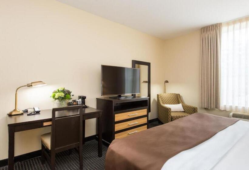 酒店 The Brunswick