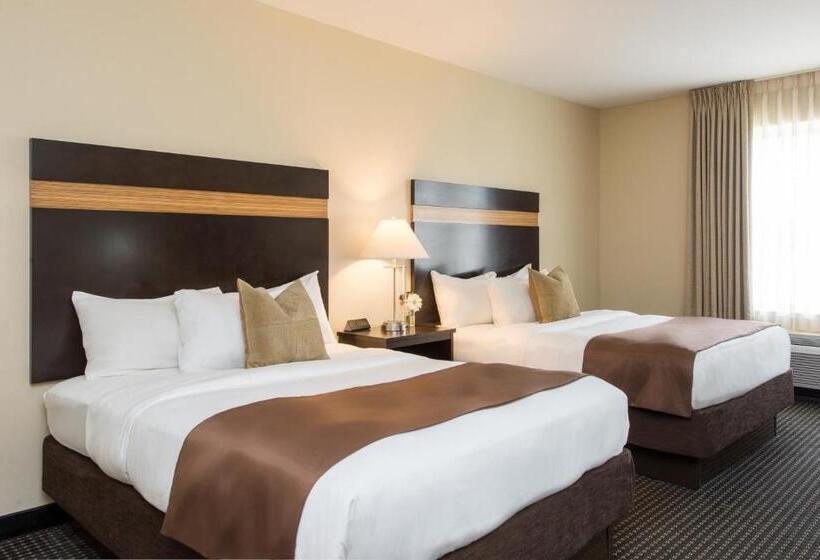 酒店 The Brunswick