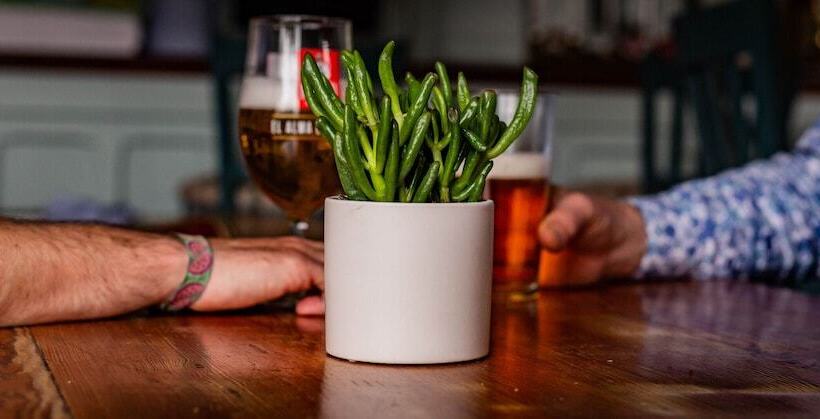 בית מלון כפרי The Cricketers Inn