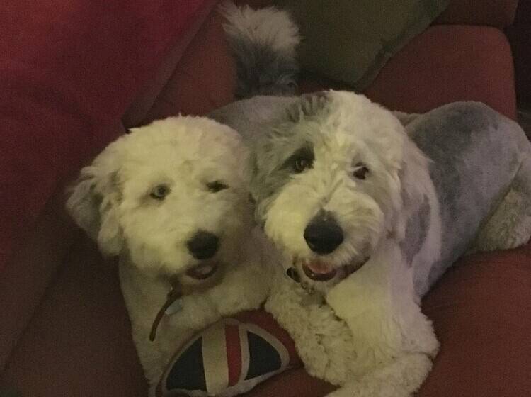 ホテル The Hunters Moon