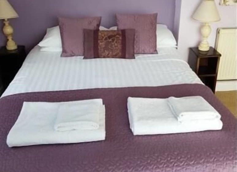 The Moelwyn Hotel & Restaurant