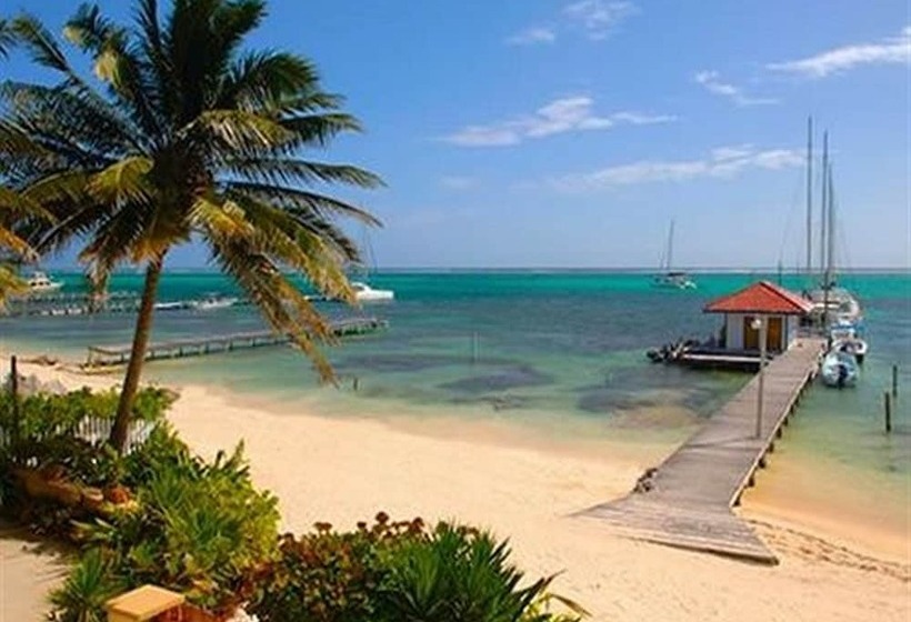 בית מלון כפרי The Palms Oceanfront Suites