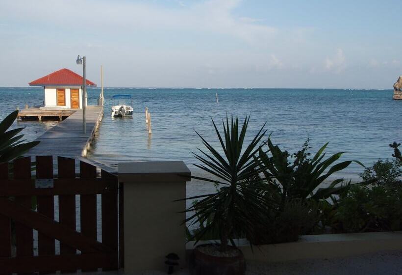 בית מלון כפרי The Palms Oceanfront Suites