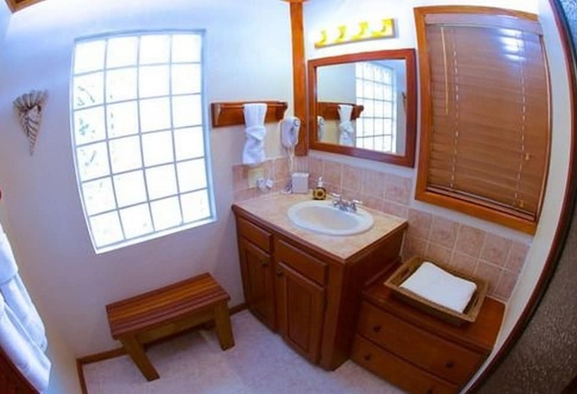 בית מלון כפרי The Palms Oceanfront Suites