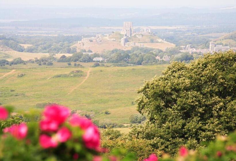 فندق The Scott Arms