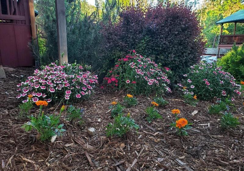 호텔 Yosemite Riverside Inn