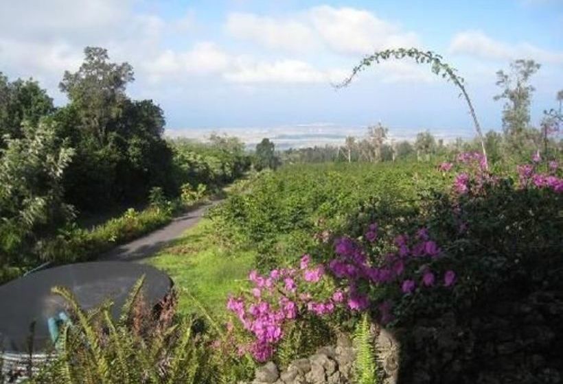 住宿加早餐 Mango Sunset Bnb Inn At Lyman Organic Kona Coffee Farms