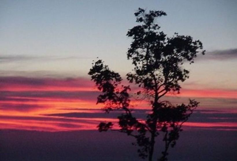 Bed and Breakfast Mango Sunset Bnb Inn At Lyman Organic Kona Coffee Farms