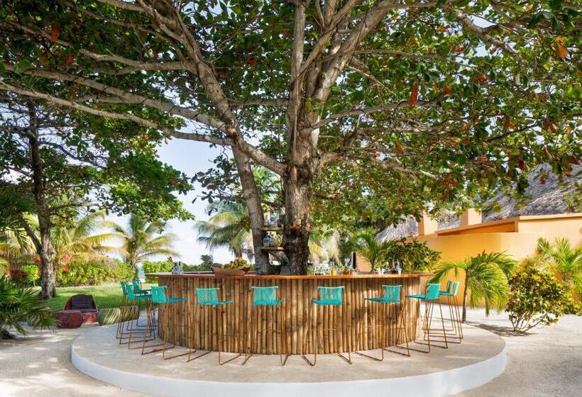 Matachica Beach Resort And Spa