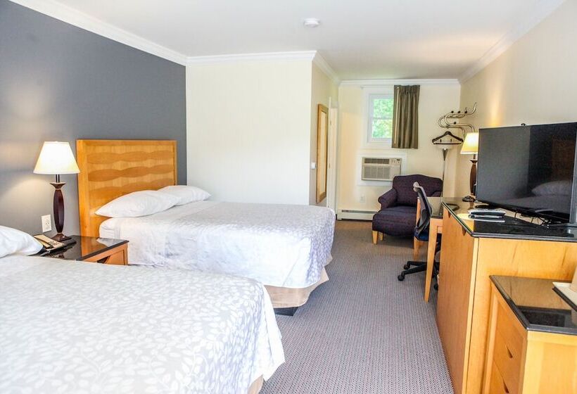 モーテル Moonlight Inn