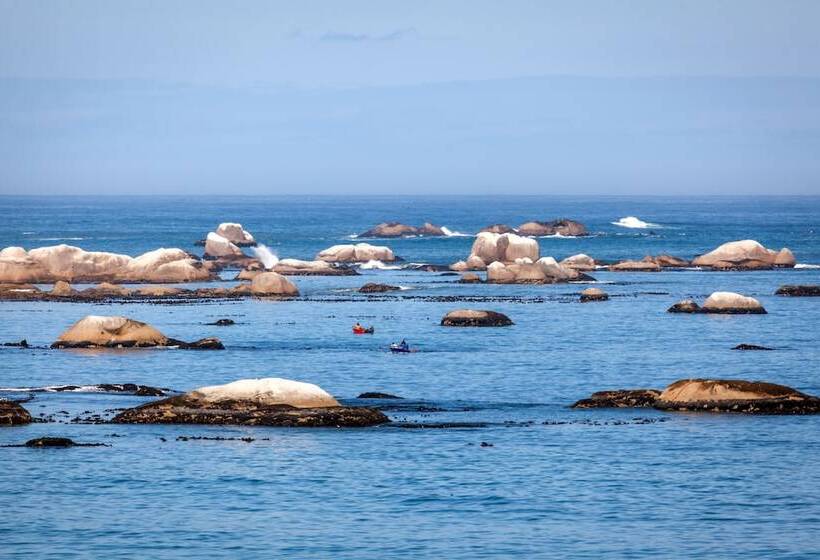 פנסיון Abalone Hotel & Villa S