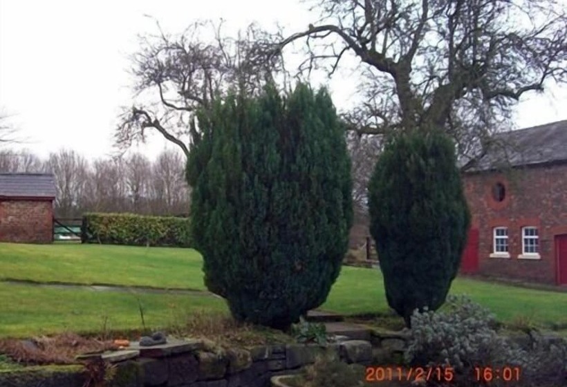 Пансион Ash Farm Country House