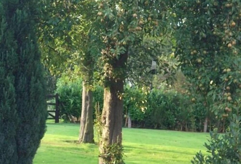 Пансион Ash Farm Country House