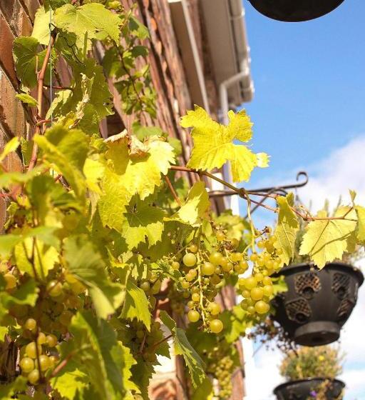 펜션 Ba Ba Guest House