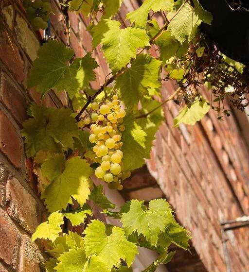 펜션 Ba Ba Guest House