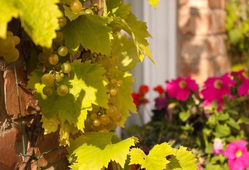 펜션 Ba Ba Guest House