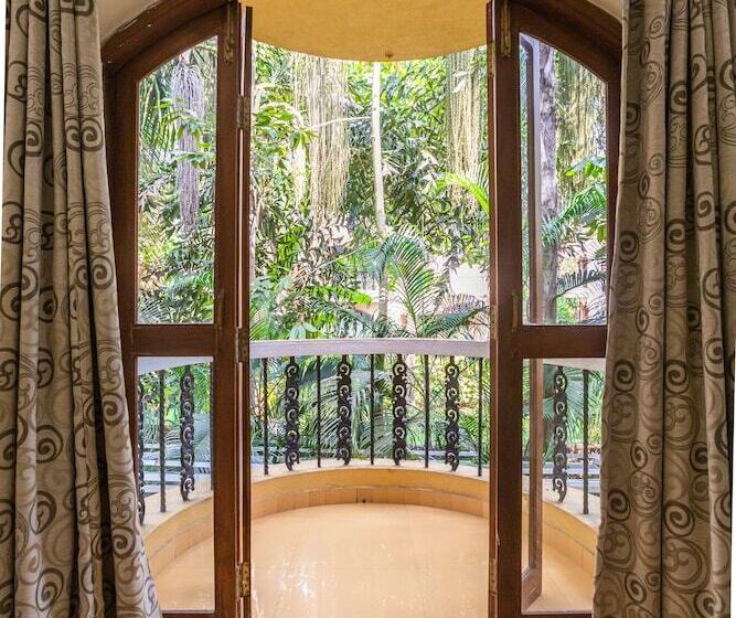 膳宿费 Bougainvillea Guest House