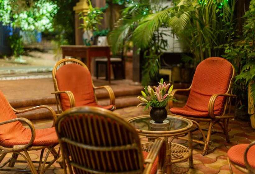 膳宿费 Bougainvillea Guest House